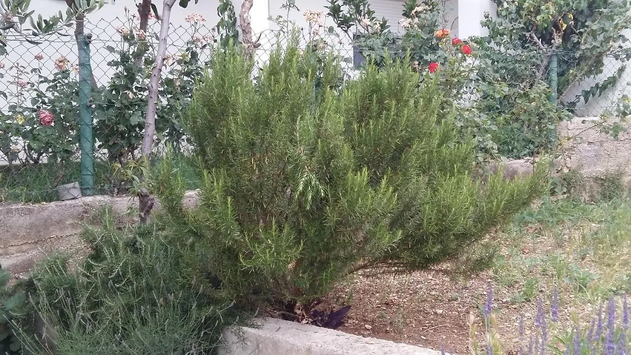 Tamaris Apartment Trogir Croatia